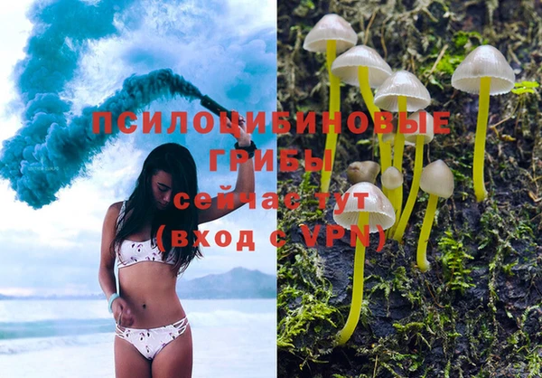 амф Протвино