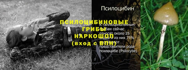 не бодяженный Пролетарск