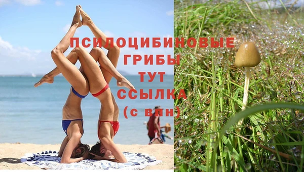 каннабис Абдулино